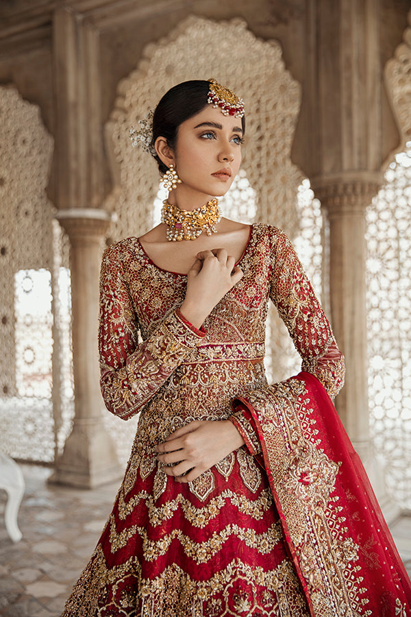 Red Embellished Net Organza Pishwas Dress (3-Piece) - Image 3