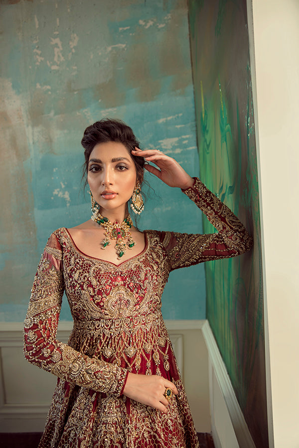 Indian Red Embroidered Net Organza Pishwas Dress (3-Piece) - Image 2