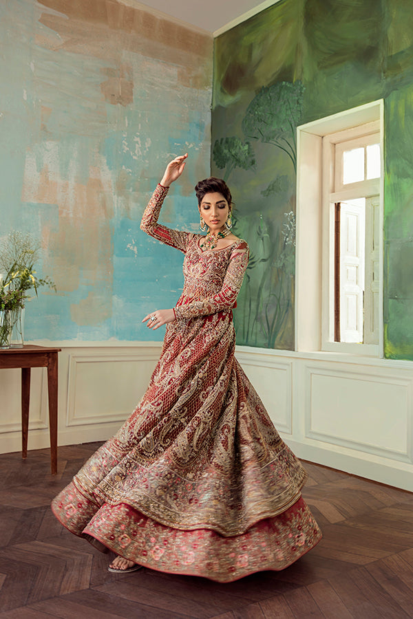 Indian Red Embroidered Net Organza Pishwas Dress (3-Piece) - Image 5