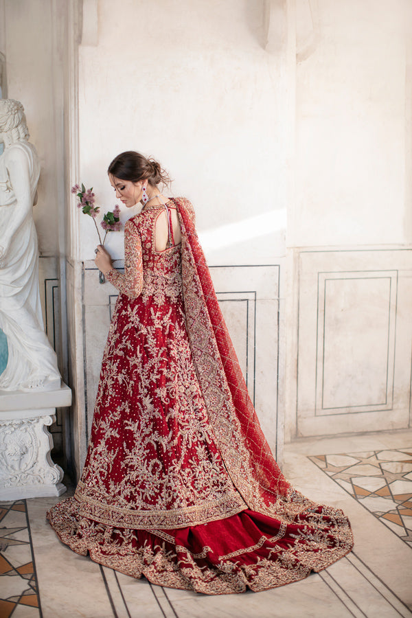 Pakistani Deep Red Embroidered Net Organza Pishwas (3-Piece) - Image 1