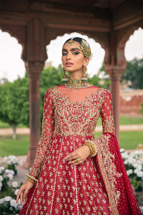 Red Embellished Net Organza Pishwas Dress (3-Piece) - Image 3