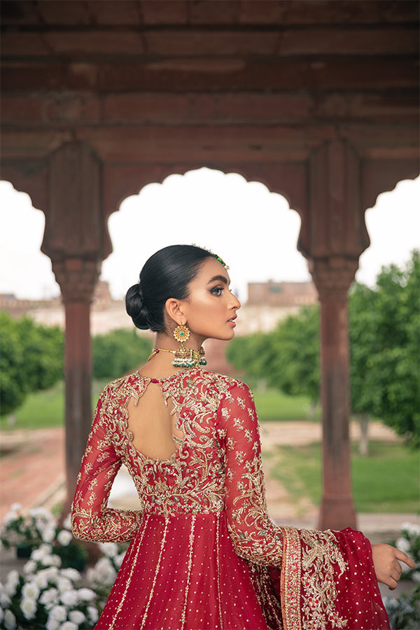 Red Embellished Net Organza Pishwas Dress (3-Piece) - Image 4