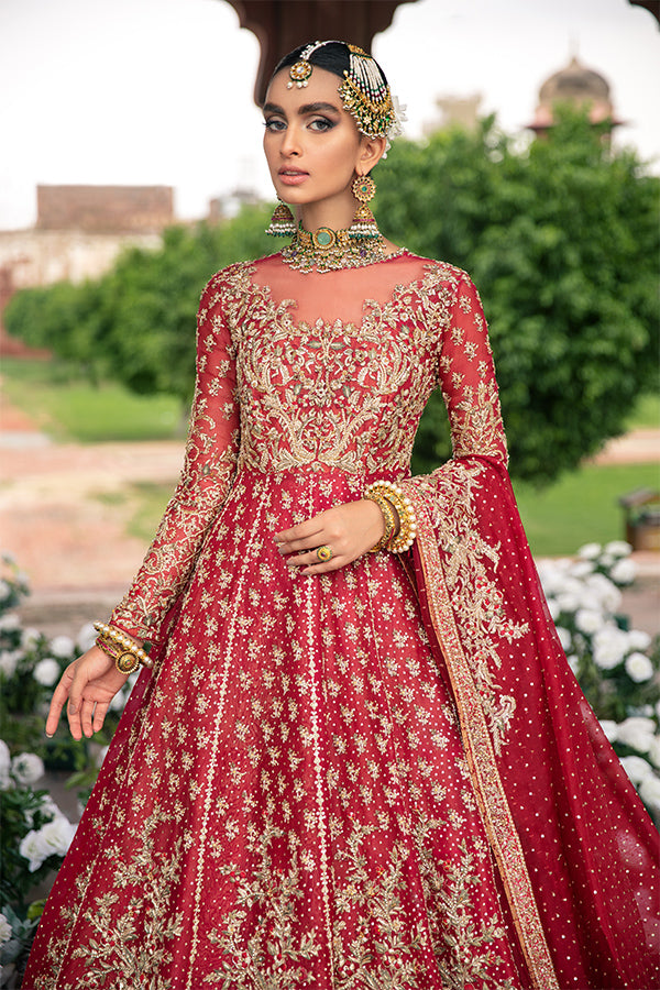 Red Embellished Net Organza Pishwas Dress (3-Piece) - Image 5