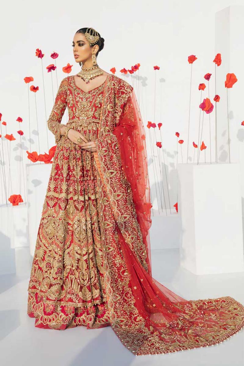 Red Embellished Net Bridal Pishwas (2-Piece) - Image 2