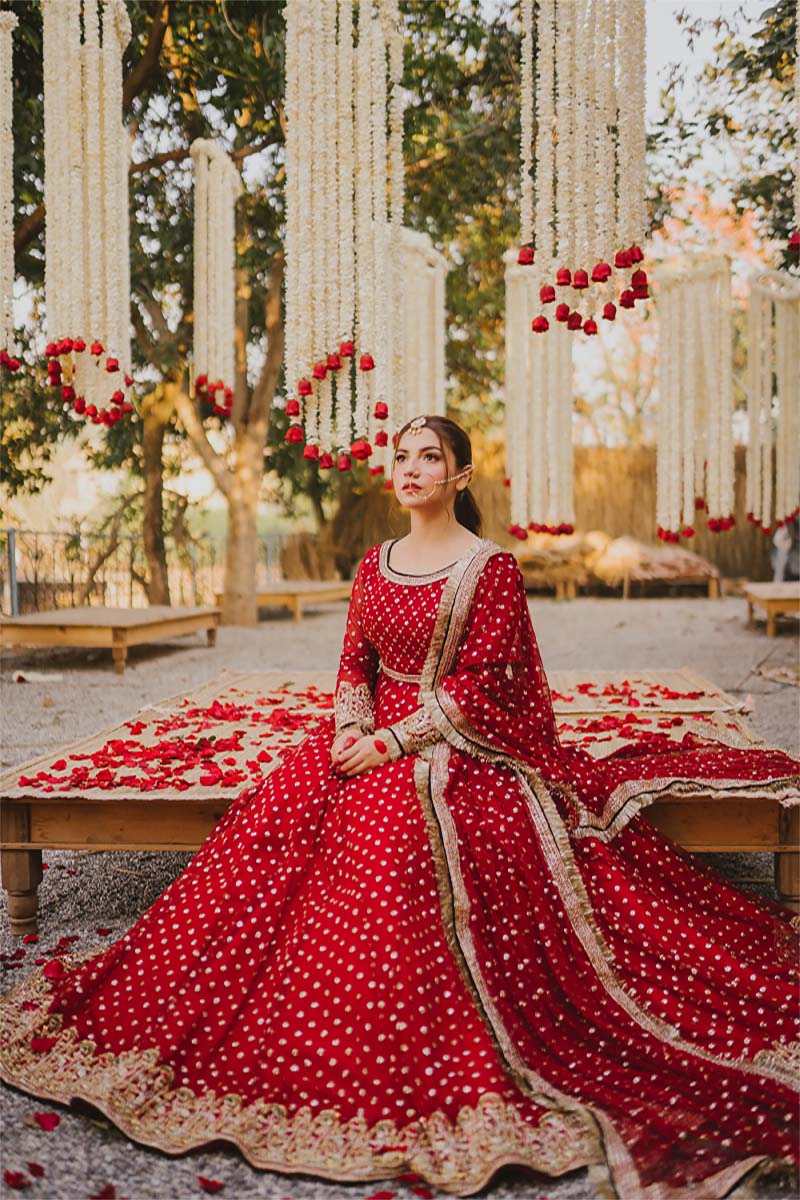 Pakistani Ruby Red Embellished Net Pishwas Dress (3-Piece) - Image 1