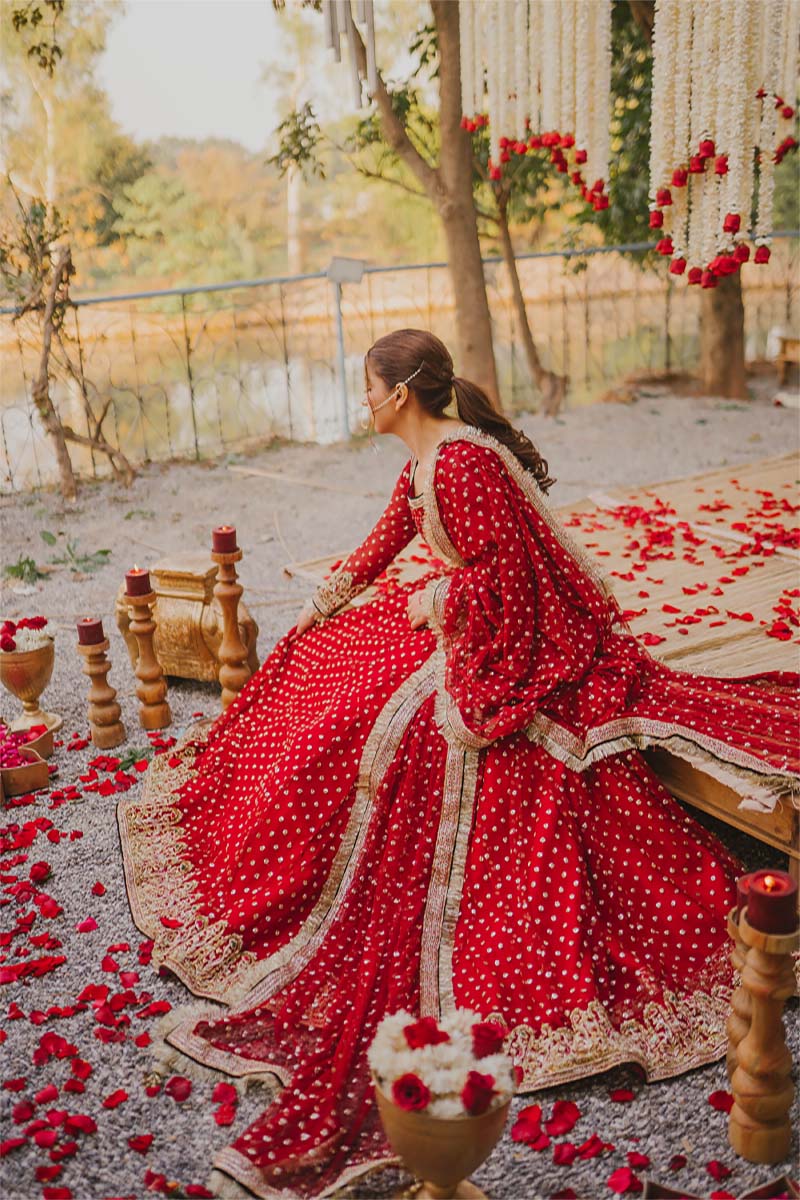 Pakistani Ruby Red Embellished Net Pishwas Dress (3-Piece) - Image 2