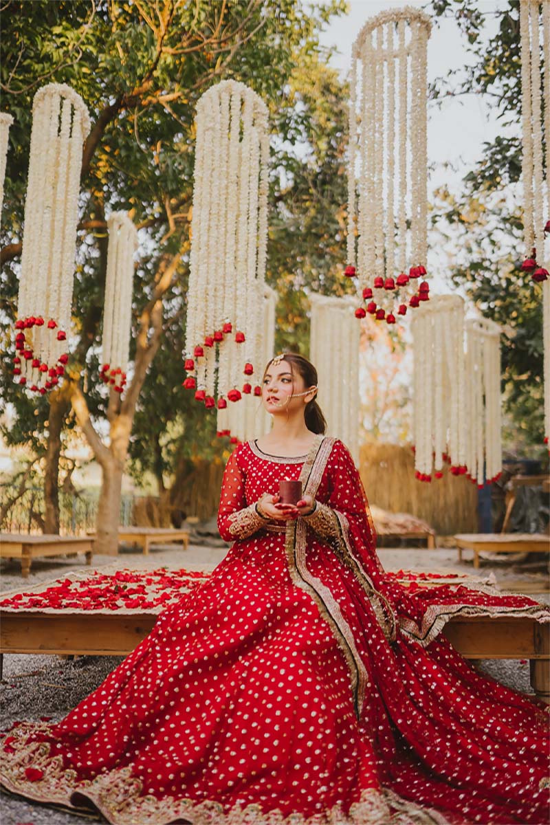 Pakistani Ruby Red Embellished Net Pishwas Dress (3-Piece) - Image 3