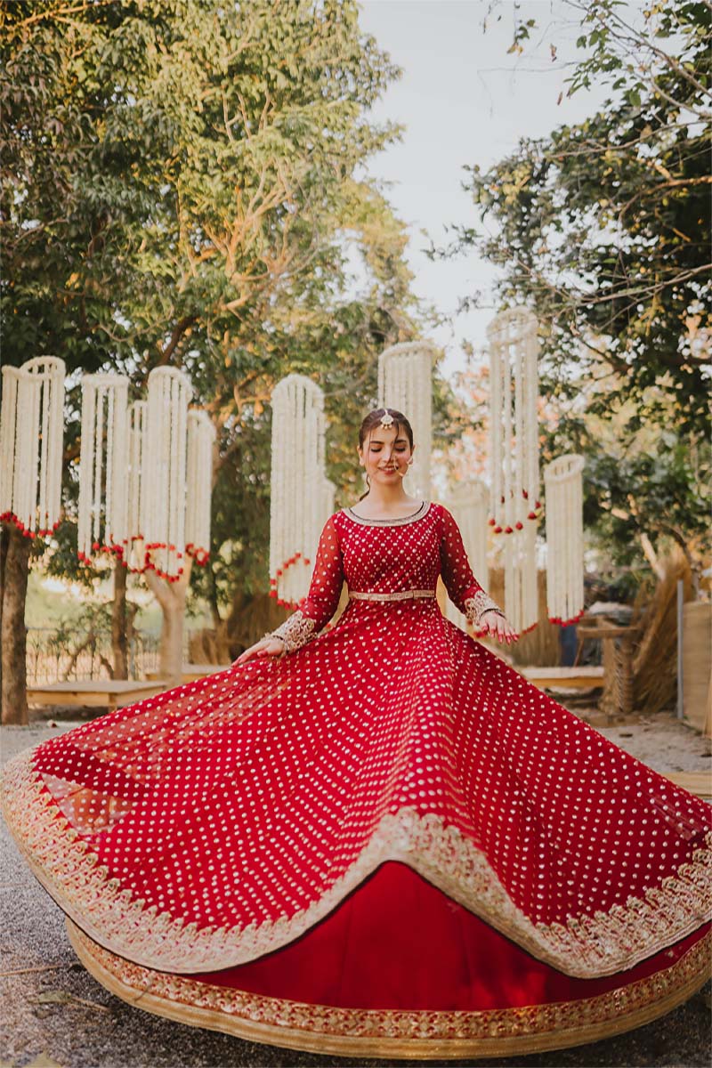 Pakistani Ruby Red Embellished Net Pishwas Dress (3-Piece) - Image 4