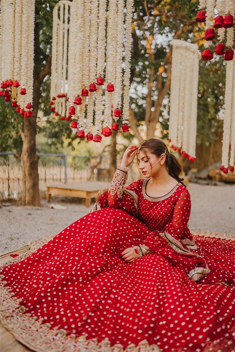 Pakistani Ruby Red Embellished Net Pishwas Dress (3-Piece) - Image 5