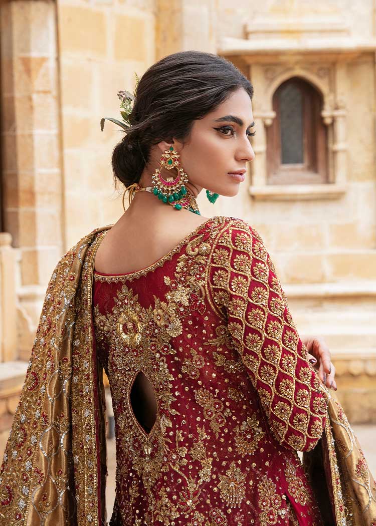 Deep Red Embroidered Net Bridal Pishwas (2-Piece) - Image 5