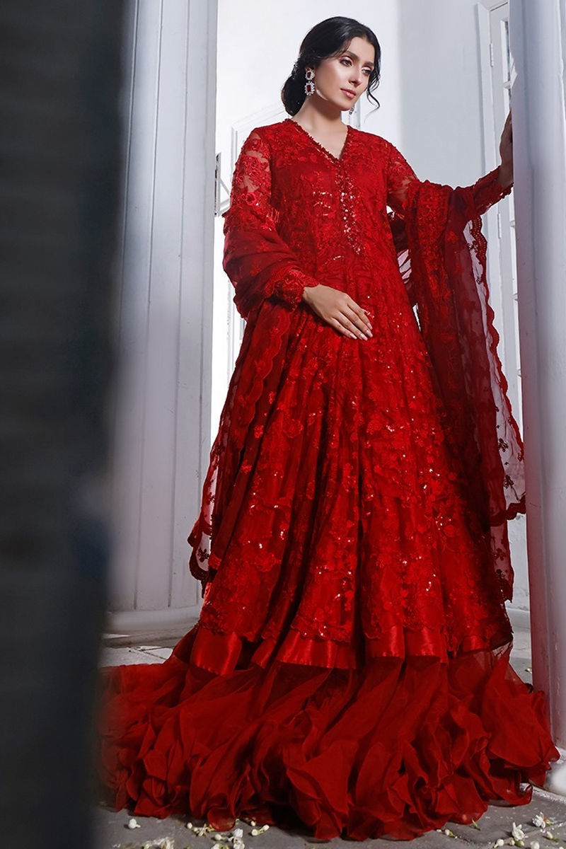 Red Embroidered Organza Pishwas Dress (2-Piece) - Image 1