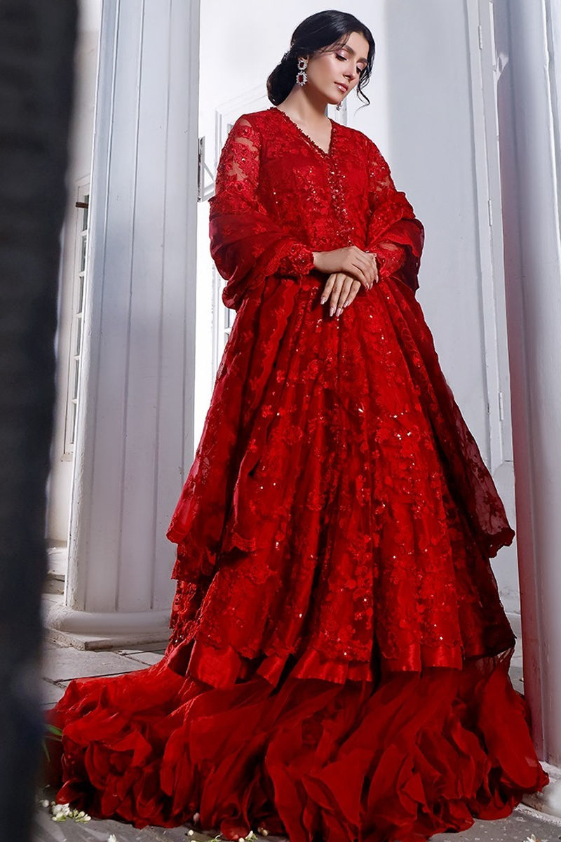 Red Embroidered Organza Pishwas Dress (2-Piece) - Image 6