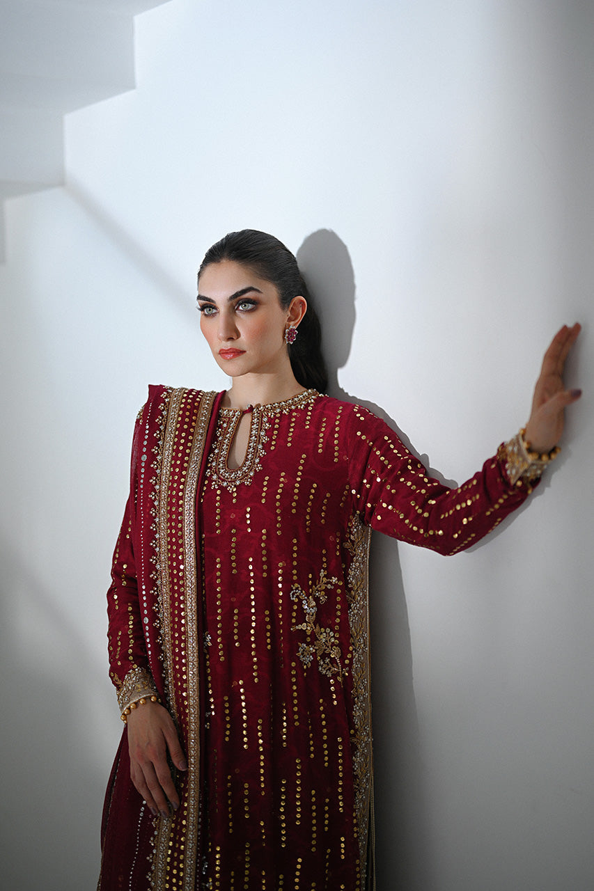 Crimson Kamdani Cotton Net & Raw Silk Salwar Kameez (3-Piece) - Image 4