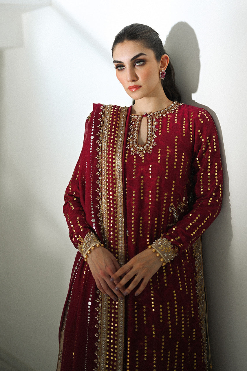 Crimson Kamdani Cotton Net & Raw Silk Salwar Kameez (3-Piece) - Image 6