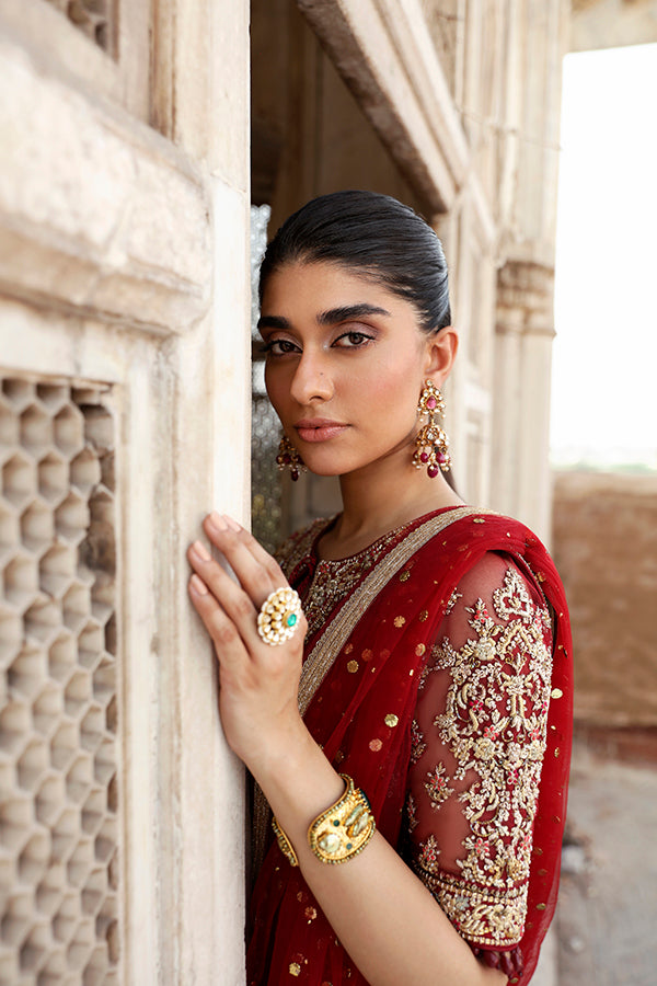 Pakistani Deep Red Embroidered Net Salwar Kameez (3-Piece) - Image 4