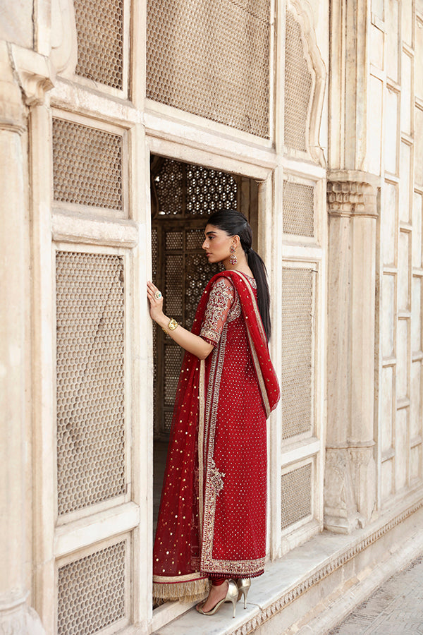 Pakistani Deep Red Embroidered Net Salwar Kameez (3-Piece) - Image 6