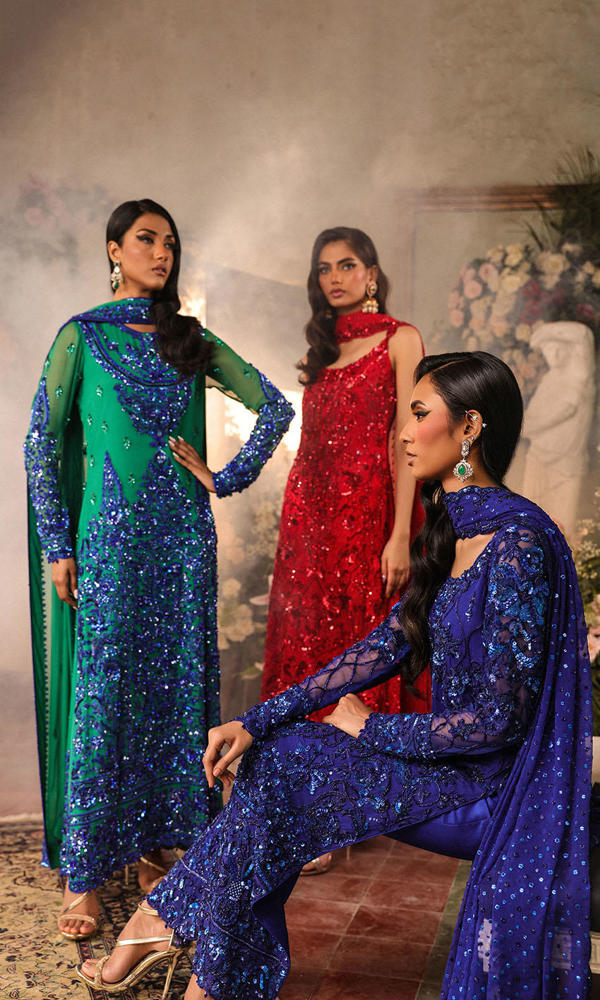 Pakistani Scarlet Embroidered Net A-Line Dress (3-Piece) - Image 10