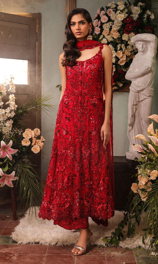 Pakistani Scarlet Embroidered Net A-Line Dress (3-Piece) - Image 2