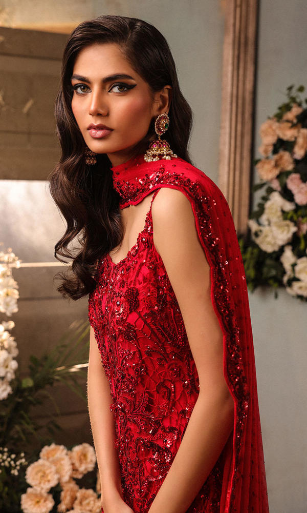 Pakistani Scarlet Embroidered Net A-Line Dress (3-Piece) - Image 4