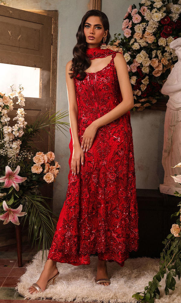 Pakistani Scarlet Embroidered Net A-Line Dress (3-Piece) - Image 5