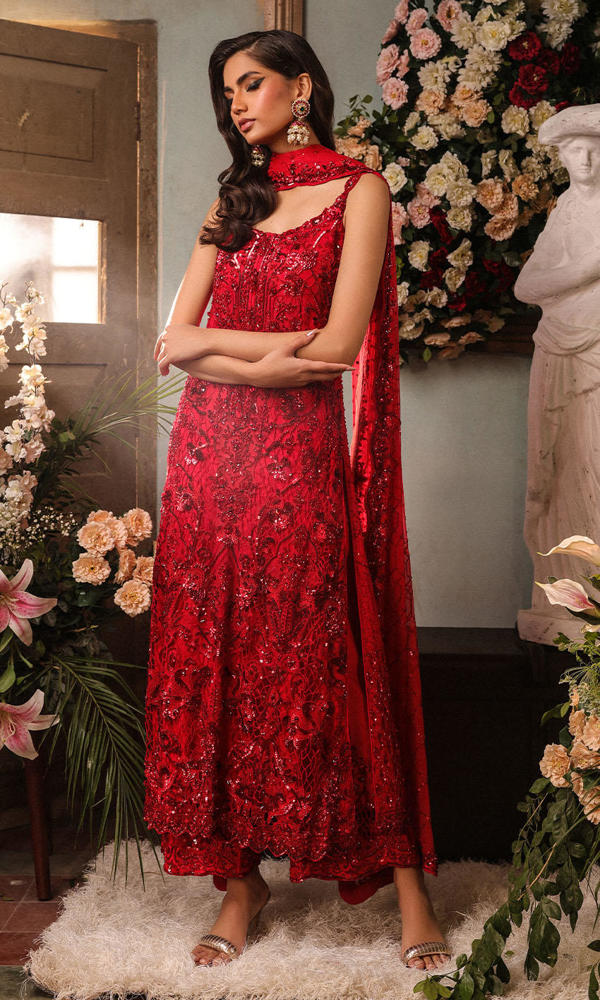 Pakistani Scarlet Embroidered Net A-Line Dress (3-Piece) - Image 7