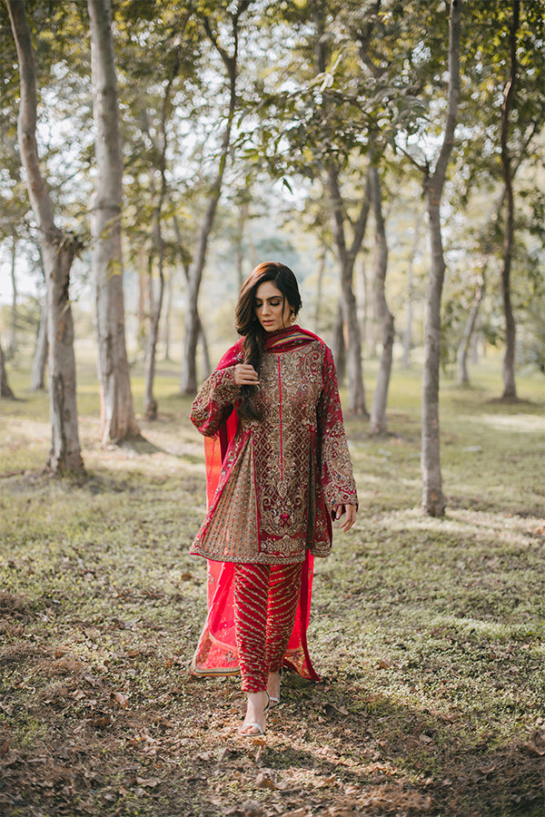 Pakistani Red Zari Embroidered Net Organza Salwar Kameez (3-Piece) - Image 1