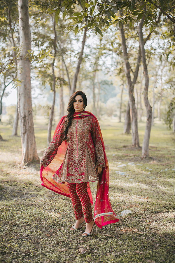 Pakistani Red Zari Embroidered Net Organza Salwar Kameez (3-Piece) - Image 2