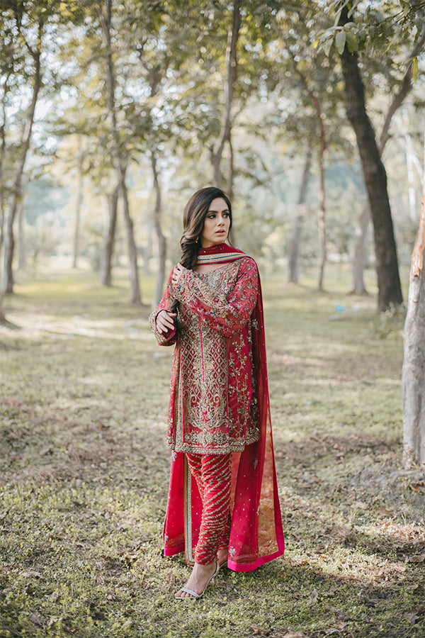 Pakistani Red Zari Embroidered Net Organza Salwar Kameez (3-Piece) - Image 3