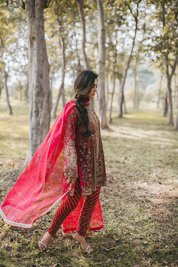 Pakistani Red Zari Embroidered Net Organza Salwar Kameez (3-Piece) - Image 4