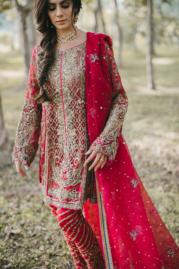 Pakistani Red Zari Embroidered Net Organza Salwar Kameez (3-Piece) - Image 5
