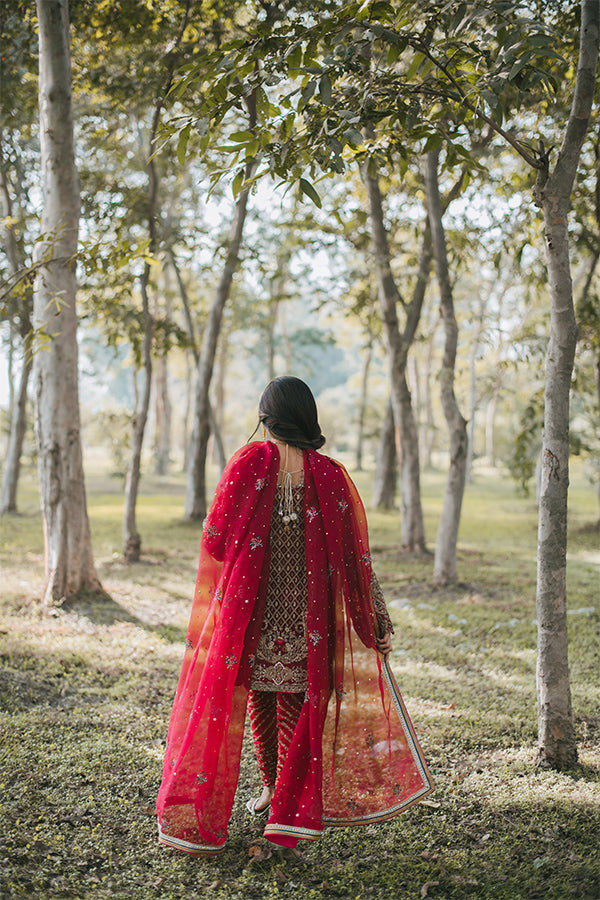 Pakistani Red Zari Embroidered Net Organza Salwar Kameez (3-Piece) - Image 6