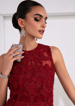 Pakistani Deep Red Embellished Net & Silk Salwar Kameez (3-Piece) - Image 3