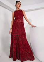 Pakistani Deep Red Embellished Net & Silk Salwar Kameez (3-Piece) - Image 4