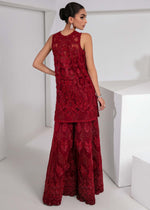 Pakistani Deep Red Embellished Net & Silk Salwar Kameez (3-Piece) - Image 5