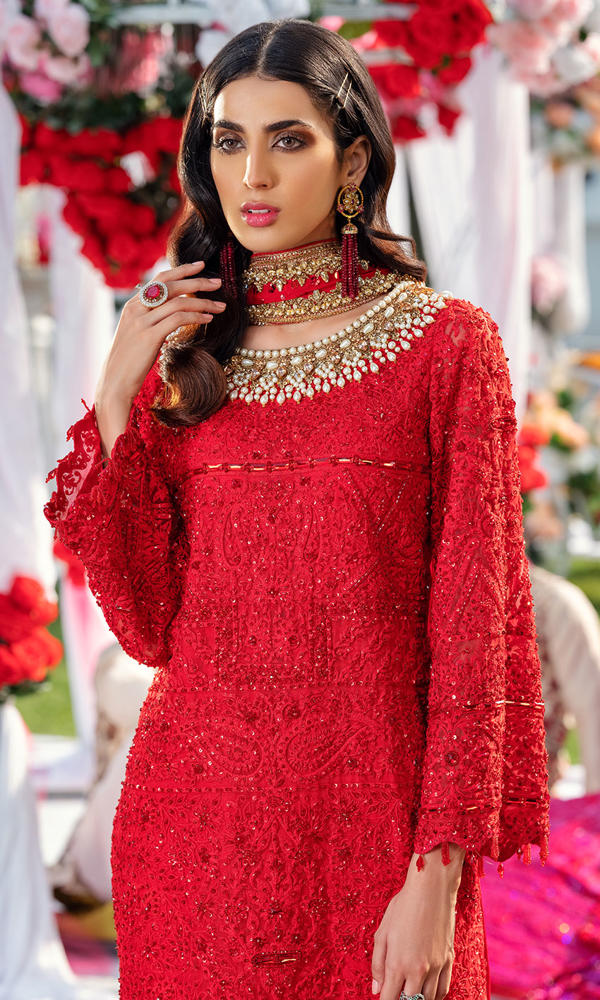 Pakistani Scarlet Red Embellished Organza Salwar Kameez (3-Piece) - Image 3
