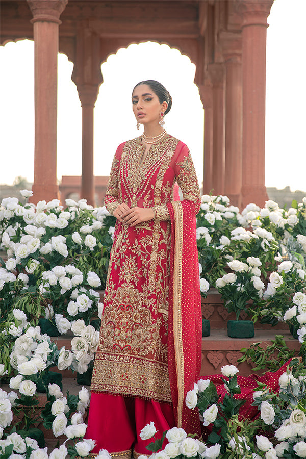 Red Embellished Net Organza Salwar Kameez (3-Piece) - Image 1