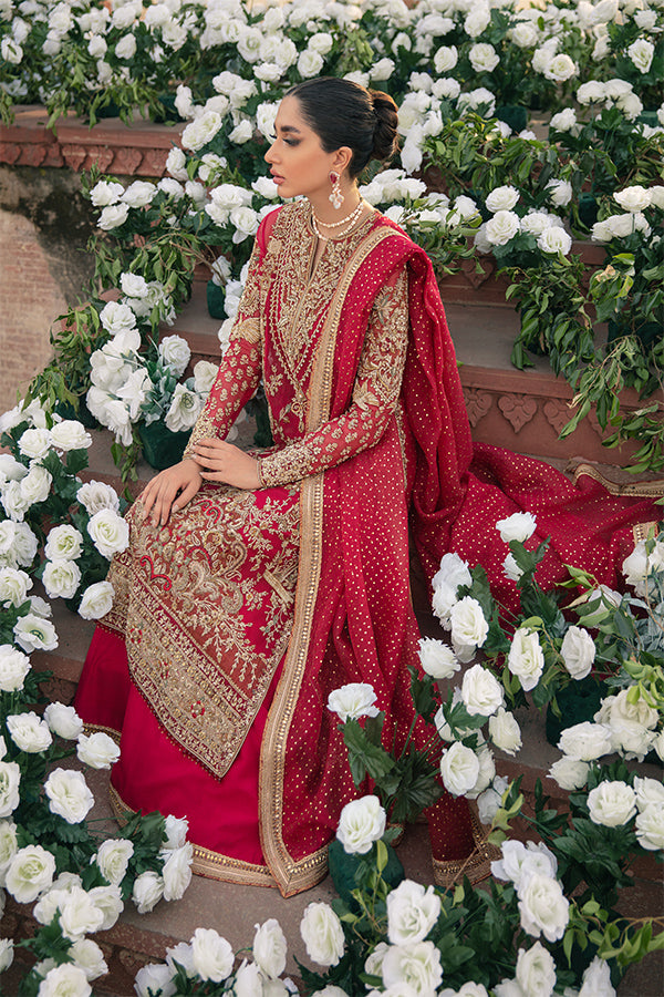 Red Embellished Net Organza Salwar Kameez (3-Piece) - Image 3