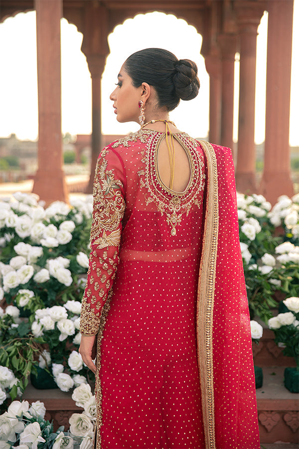 Red Embellished Net Organza Salwar Kameez (3-Piece) - Image 5