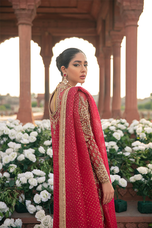 Red Embellished Net Organza Salwar Kameez (3-Piece) - Image 8