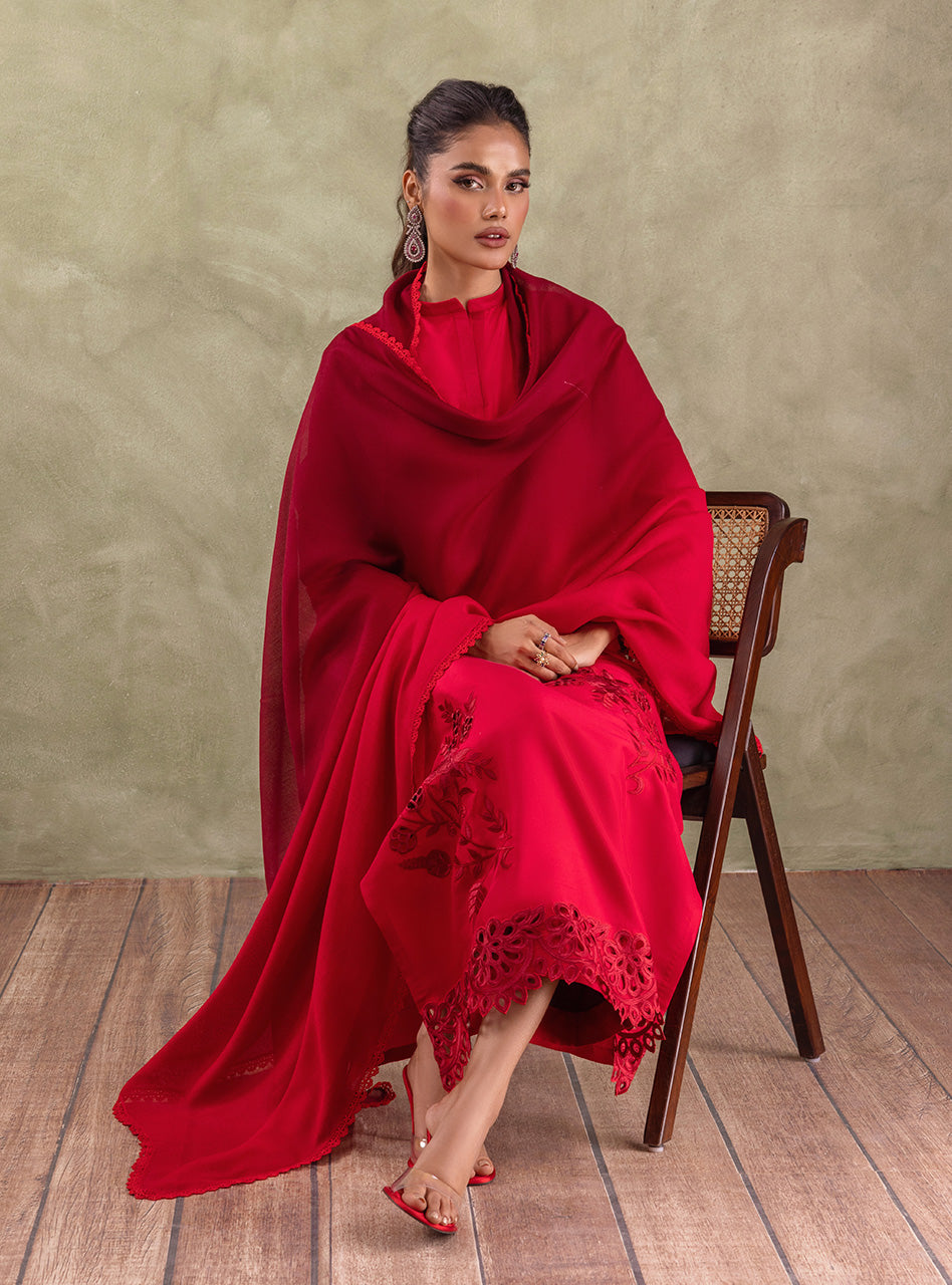 Pakistani Scarlet Red Cutwork Raw Silk Salwar Kameez (3-Piece) - Image 5