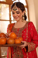 Pakistani Red Embroidered Raw Silk Salwar Kameez (3-Piece) - Image 6