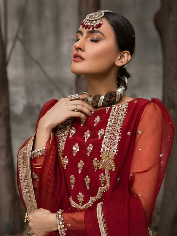 Deep Red Embroidered Raw Silk Salwar Kameez (3-Piece) - Image 2