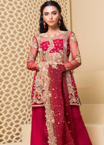Pakistani Red Embroidered Net & Korean Rawsilk Salwar Kameez (3-Piece) - Image 3