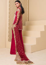 Pakistani Red Embroidered Net & Korean Rawsilk Salwar Kameez (3-Piece) - Image 5