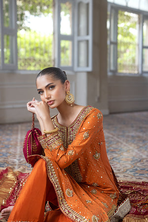 Rust Hand-Embellished Pure Silk Salwar Kameez (3-Piece) - Image 6