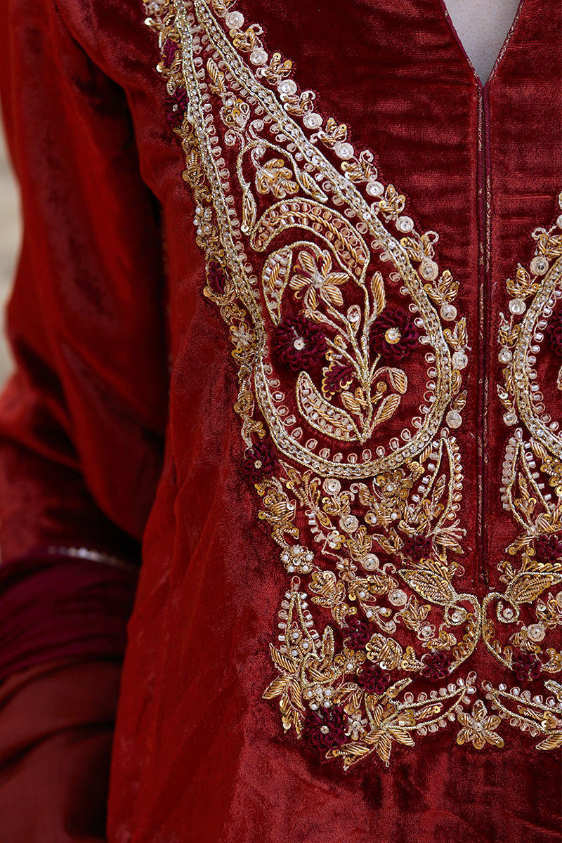Pakistani Deep Rust Embroidered Velvet & Raw Silk Salwar Kameez (3-Piece) - Image 10