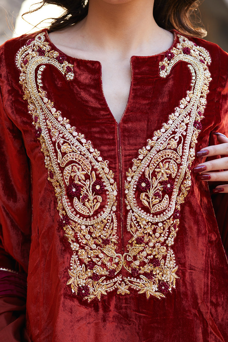 Pakistani Deep Rust Embroidered Velvet & Raw Silk Salwar Kameez (3-Piece) - Image 11