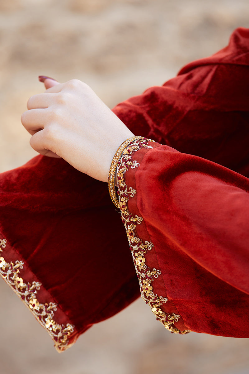 Pakistani Deep Rust Embroidered Velvet & Raw Silk Salwar Kameez (3-Piece) - Image 12