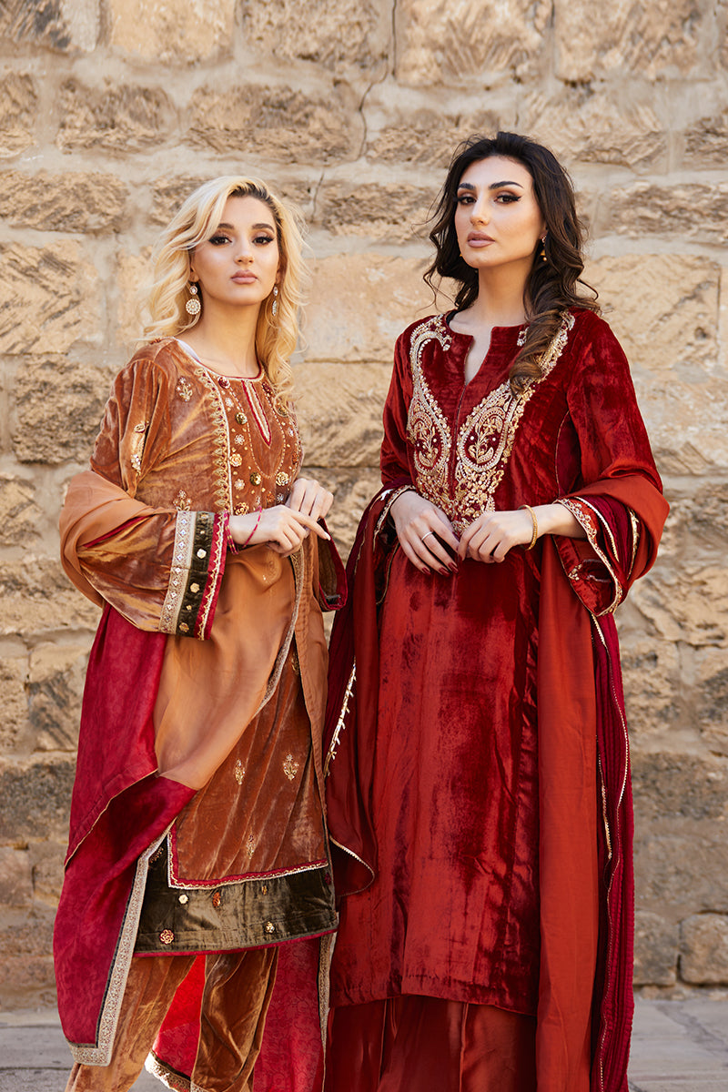 Pakistani Deep Rust Embroidered Velvet & Raw Silk Salwar Kameez (3-Piece) - Image 13