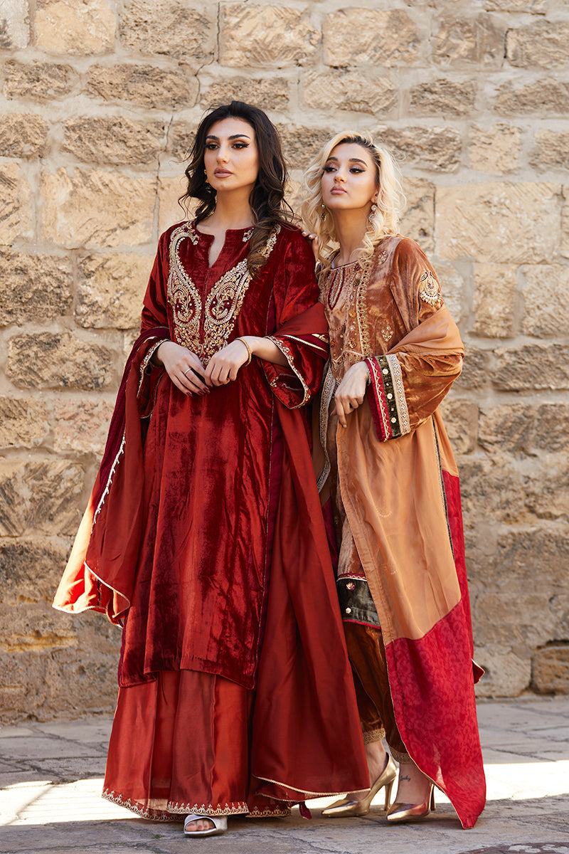 Pakistani Deep Rust Embroidered Velvet & Raw Silk Salwar Kameez (3-Piece) - Image 14